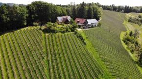 Weingut spitzyPeitler